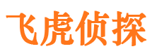 陈仓市侦探公司